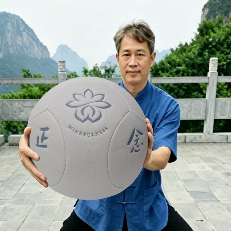 ลูกบอลไทชิขนาดใหญ่แบบพกพาสำหรั - Yoga Health & Fitness Centre บทวิจารณ์และราคา
